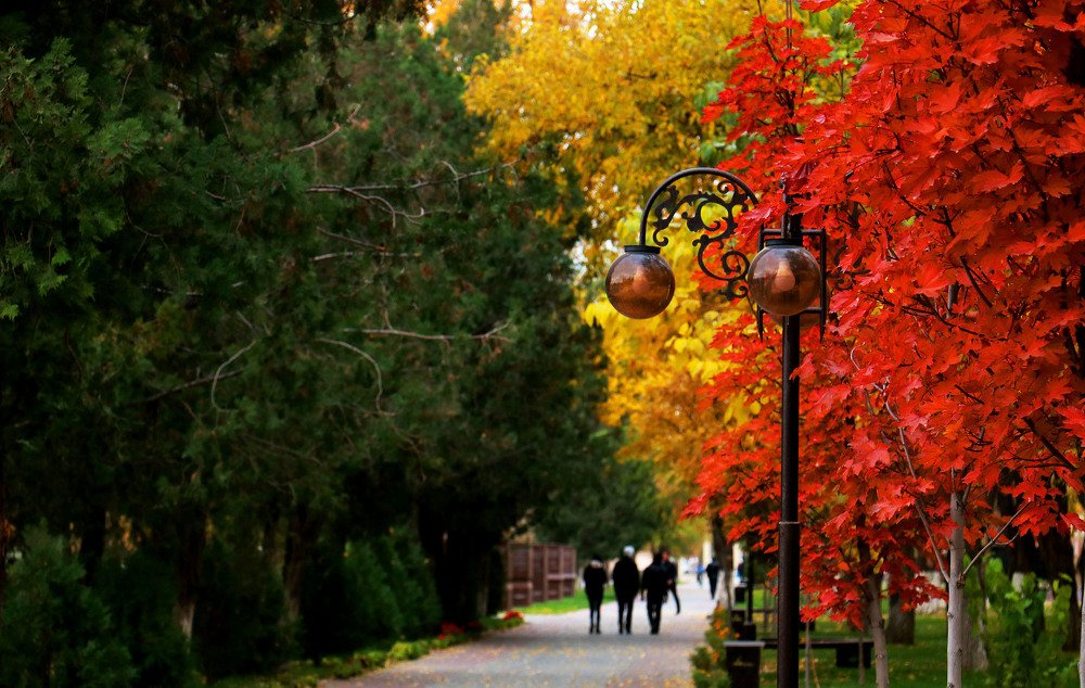 Photograph by Алтынбек Қартабай