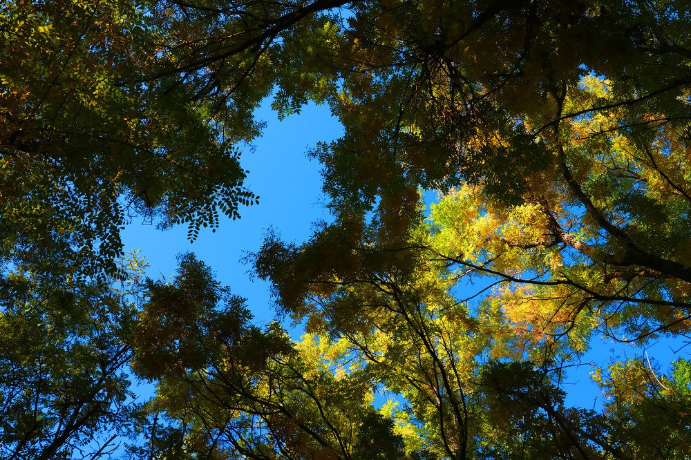 Photograph by Алтынбек Қартабай