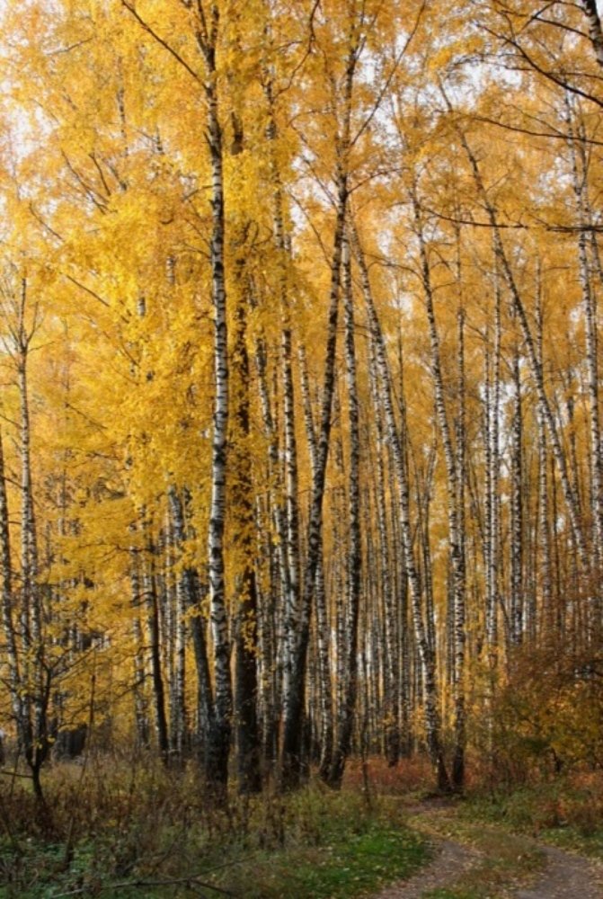 Photograph by Оксана Федулова