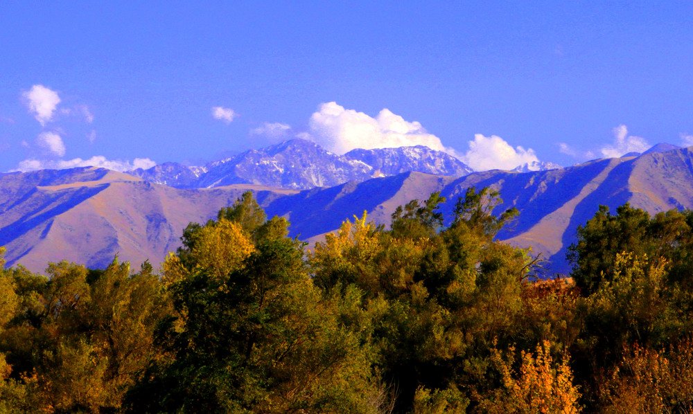 Photograph by Алтынбек Қартабай