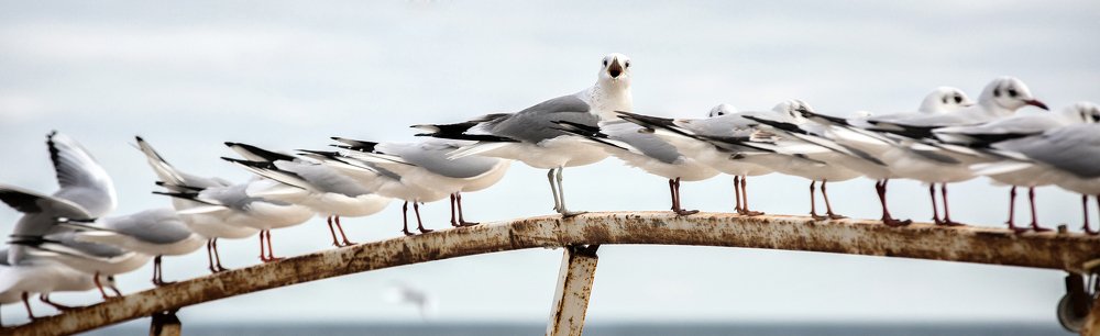 Photograph by Юрий Бершадский