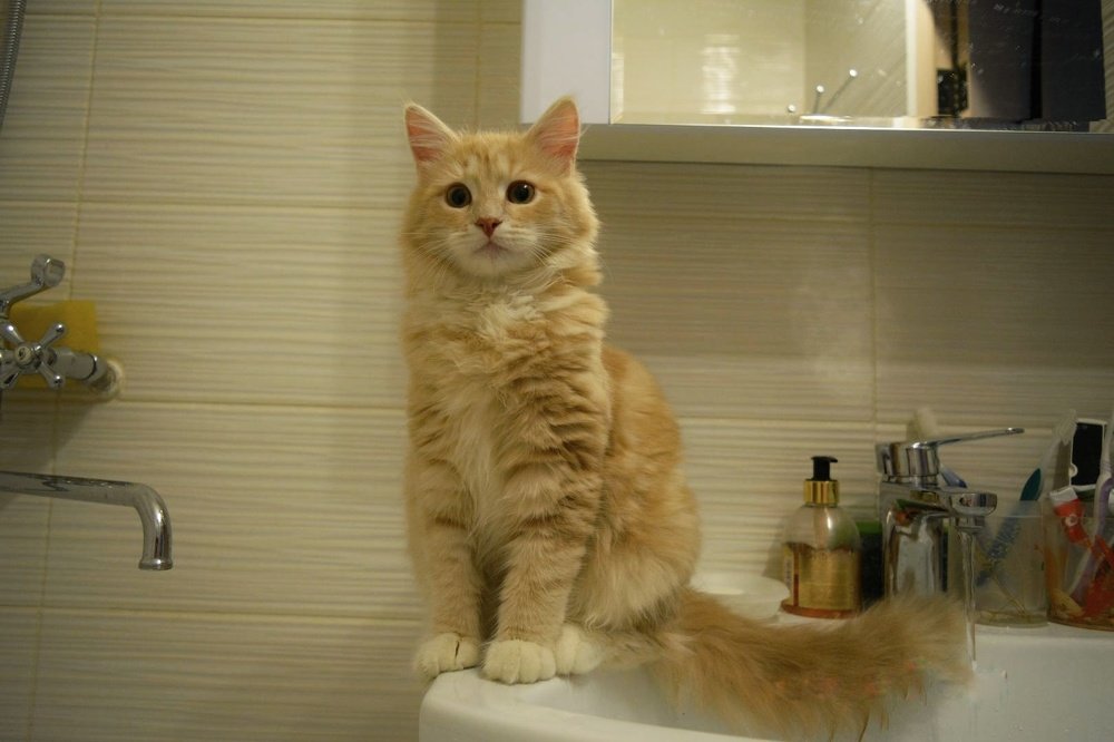 Photograph by Екатерина Артелина