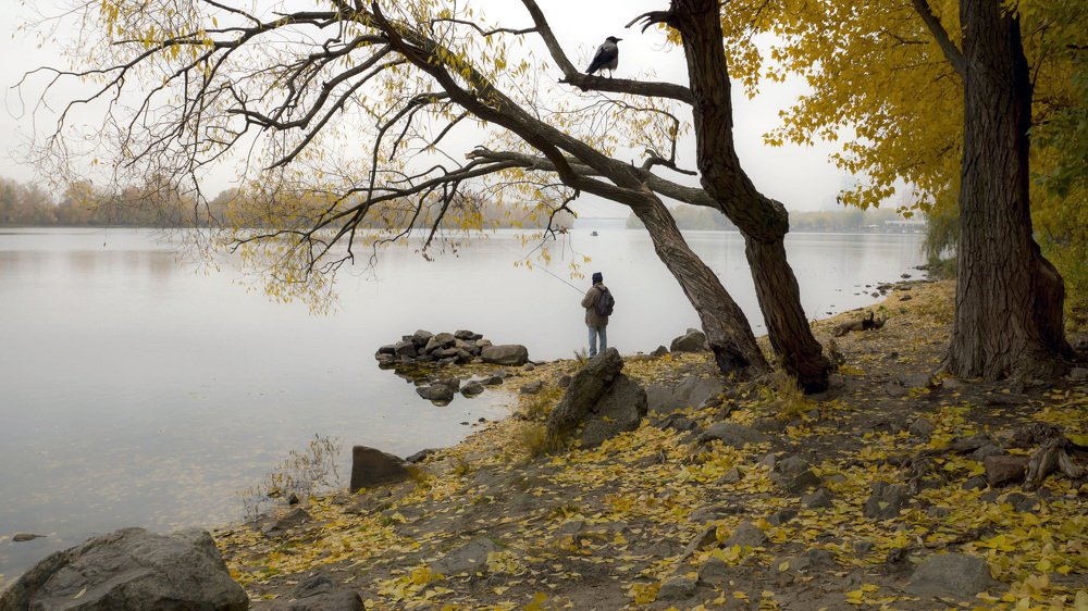 Photograph by Олесь