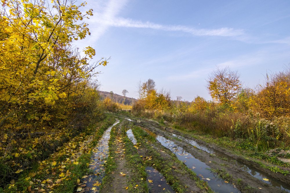 Photograph by Олесь