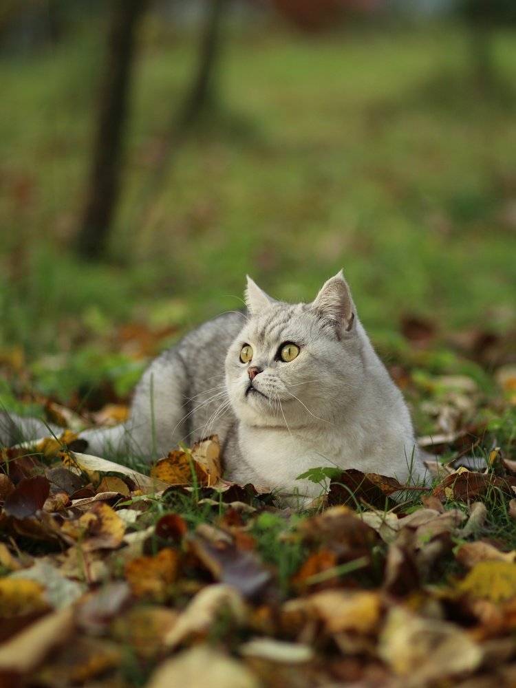 Photograph by Светлана Богомолова