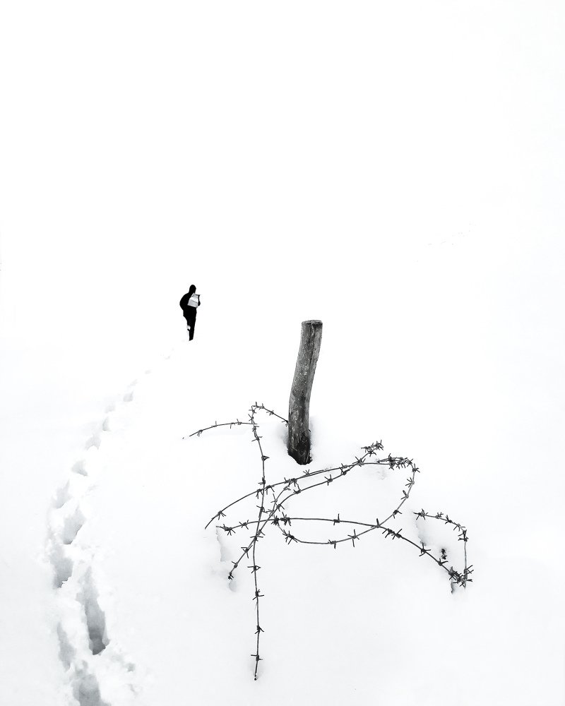 Фотография автора Alipour mohammad