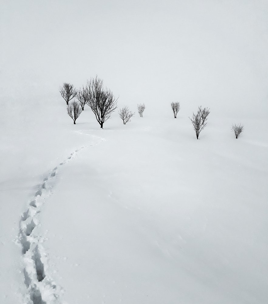 Фотография автора Alipour mohammad