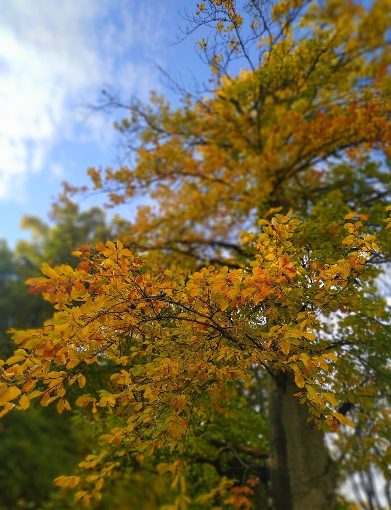 Photograph by Наталья Ткаченко