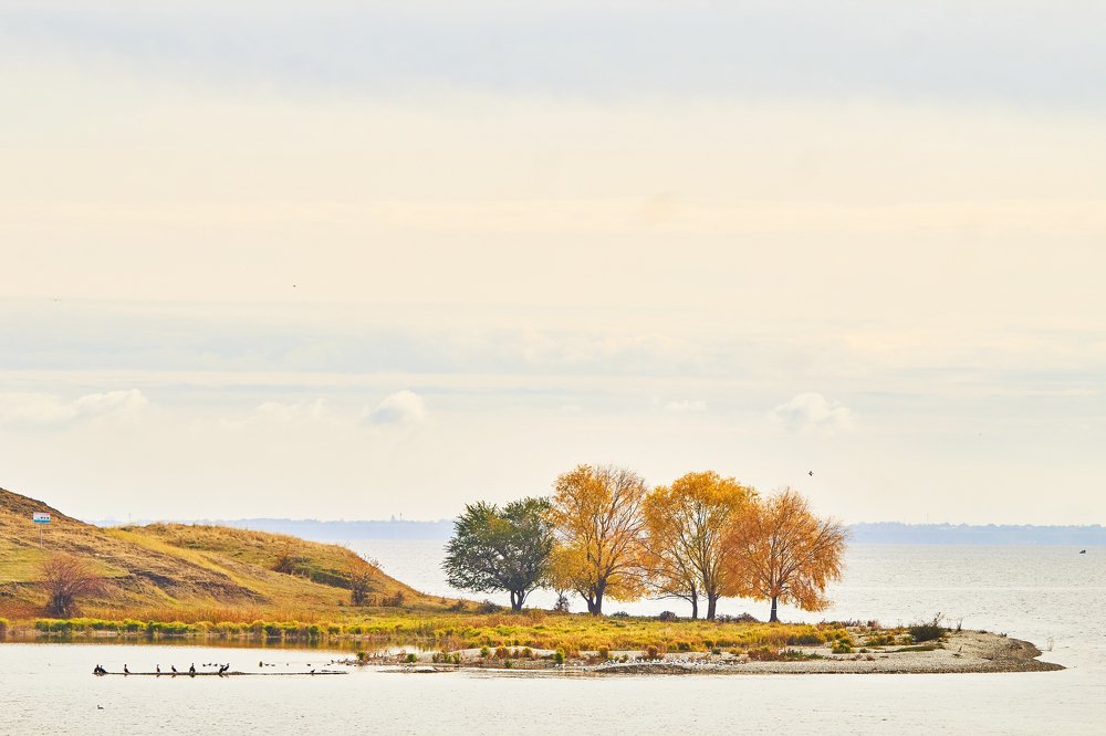 Photograph by Дмитрий Лепаков