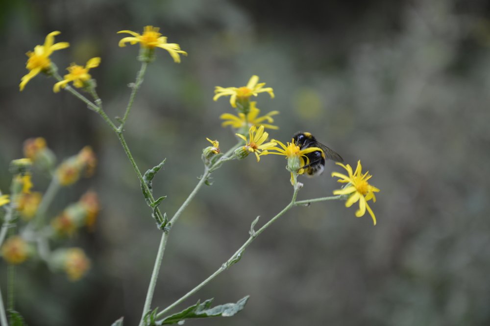 Photograph by Валера Алдошин
