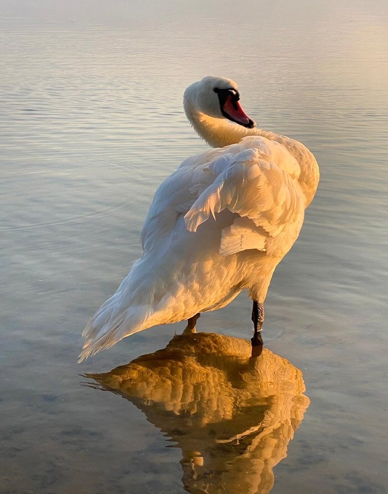 Photograph by Анатолий Андреев