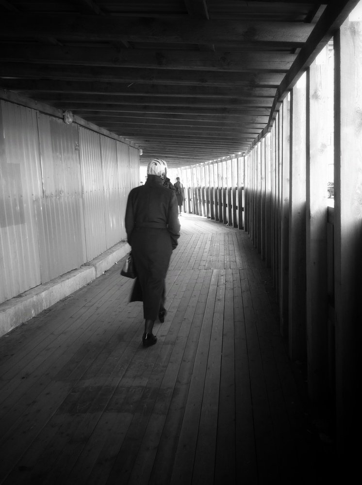 Photograph by Елена Амосова