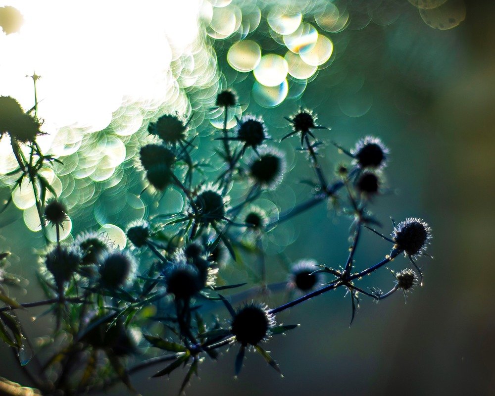 Photograph by Ольга Жогина