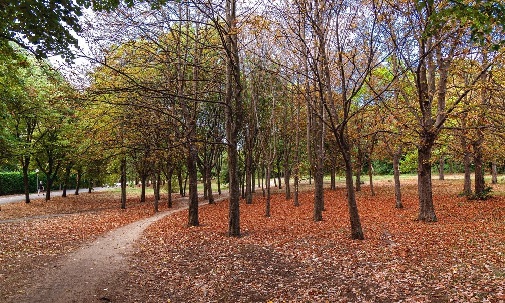 Photograph by Ognyan Levashki