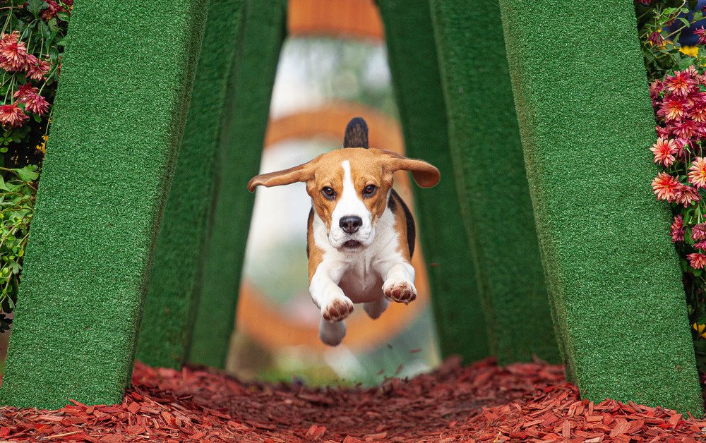 Photograph by Иван Мамонтов