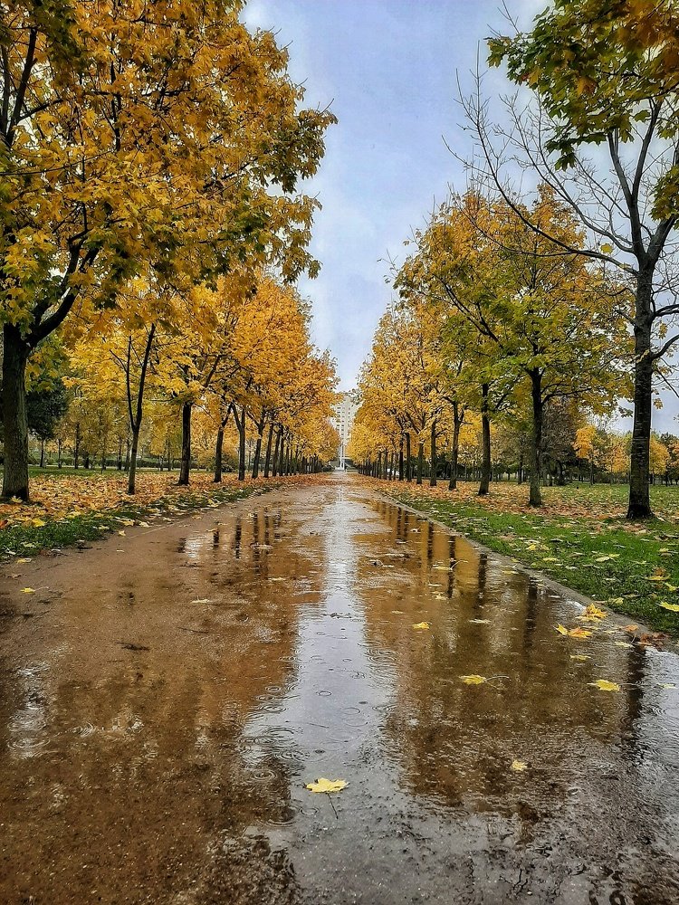 Фотография автора Ольга Никанович