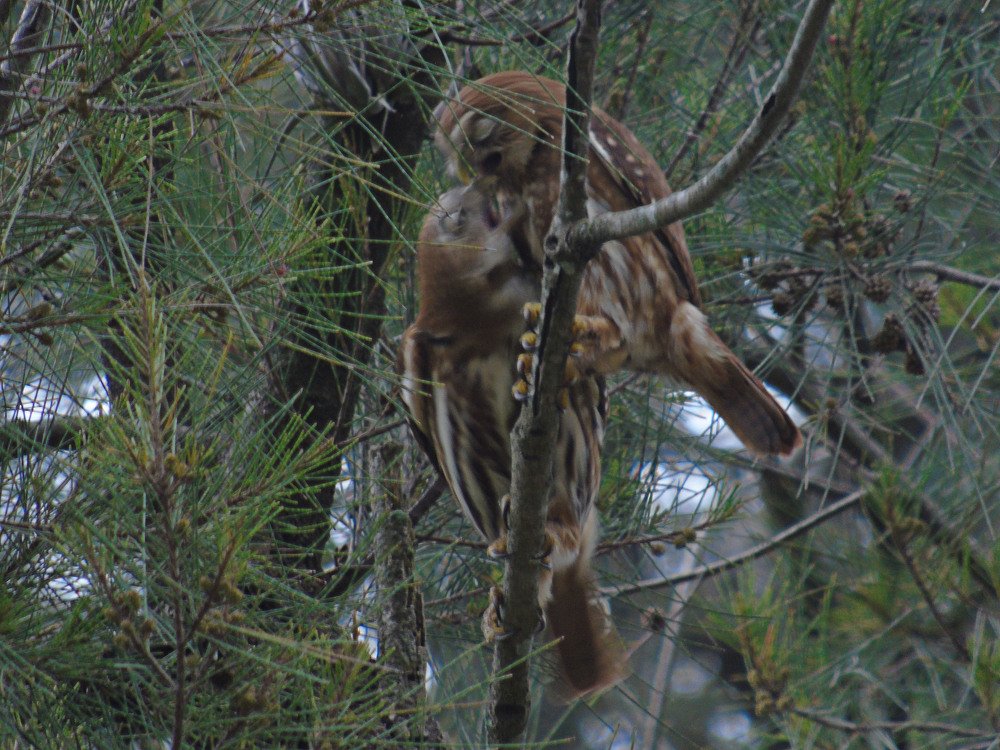 Photograph by Carina Albelda