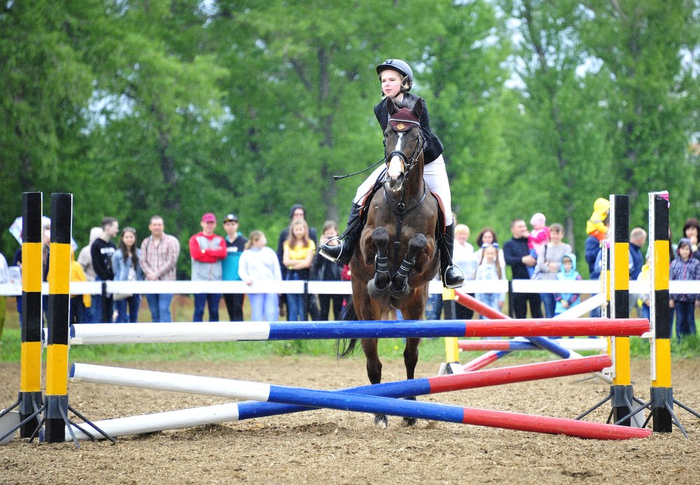 Фотография автора Старостин Дмитрий