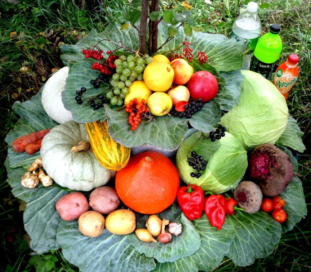 AUTUMN JOY!