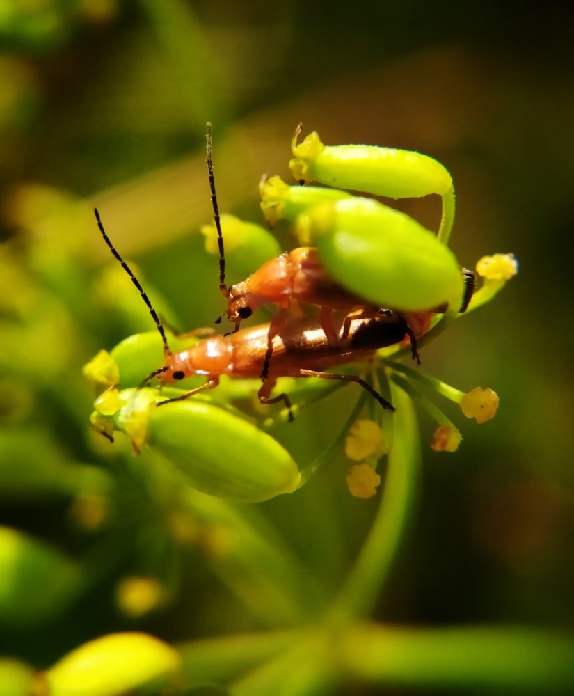 Photograph by Любовь Сухова