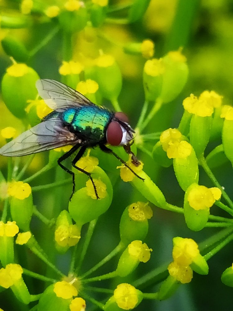 Photograph by Любовь Сухова