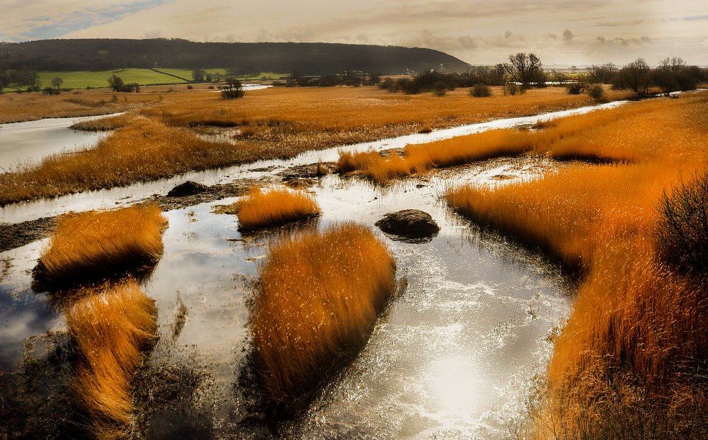 Leighton Mossa, Silverdale, England.