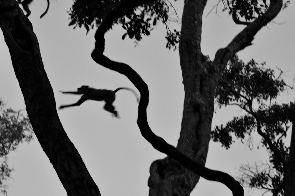 Photograph by Анатолий Орлов