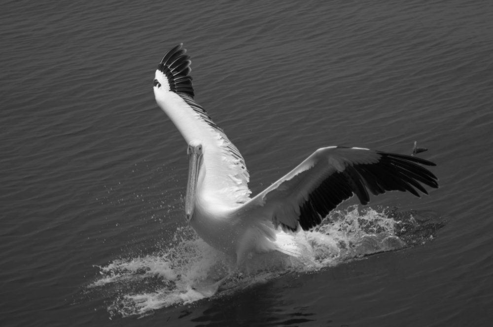 Photograph by Анатолий Орлов