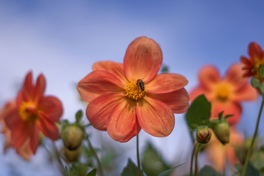Photograph by Владимир Толстолетов