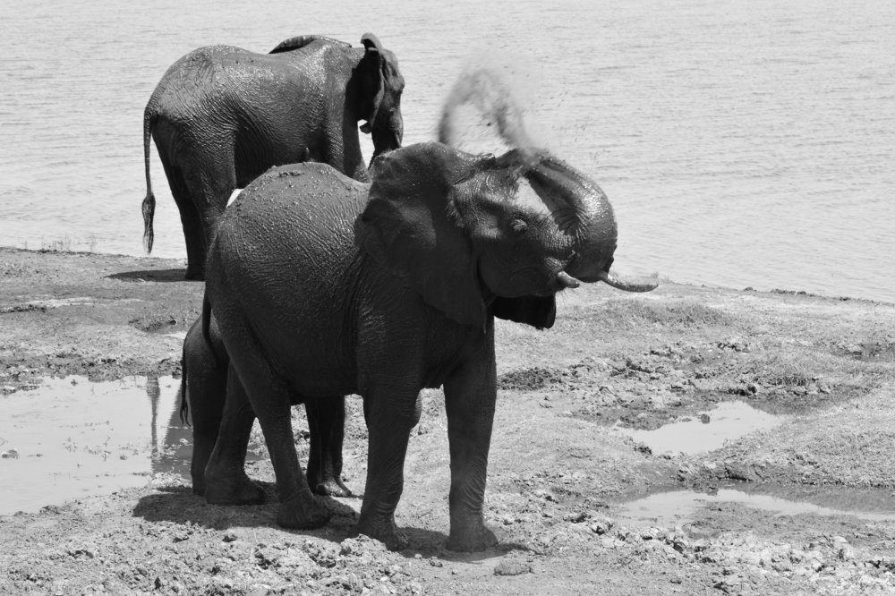 Photograph by Анатолий Орлов