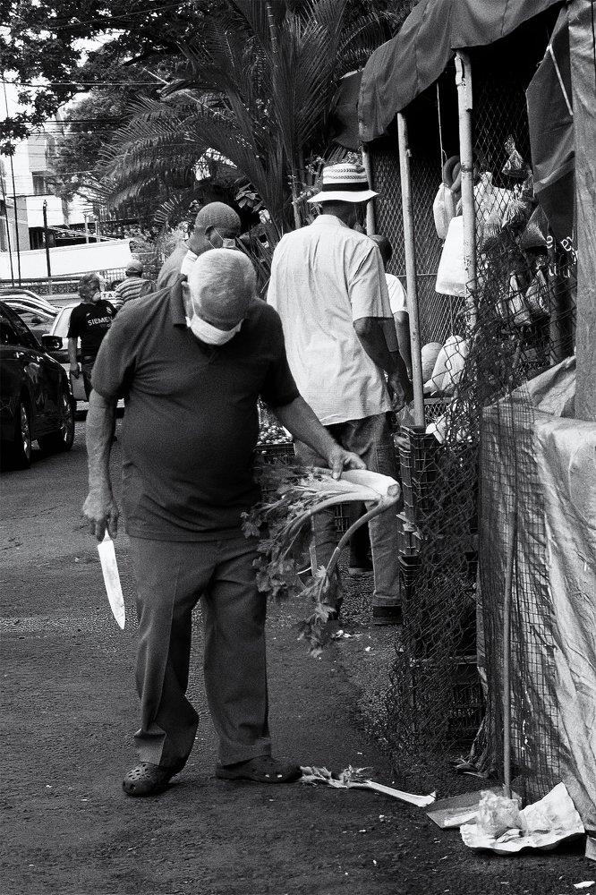 Photograph by Rafael Worrell