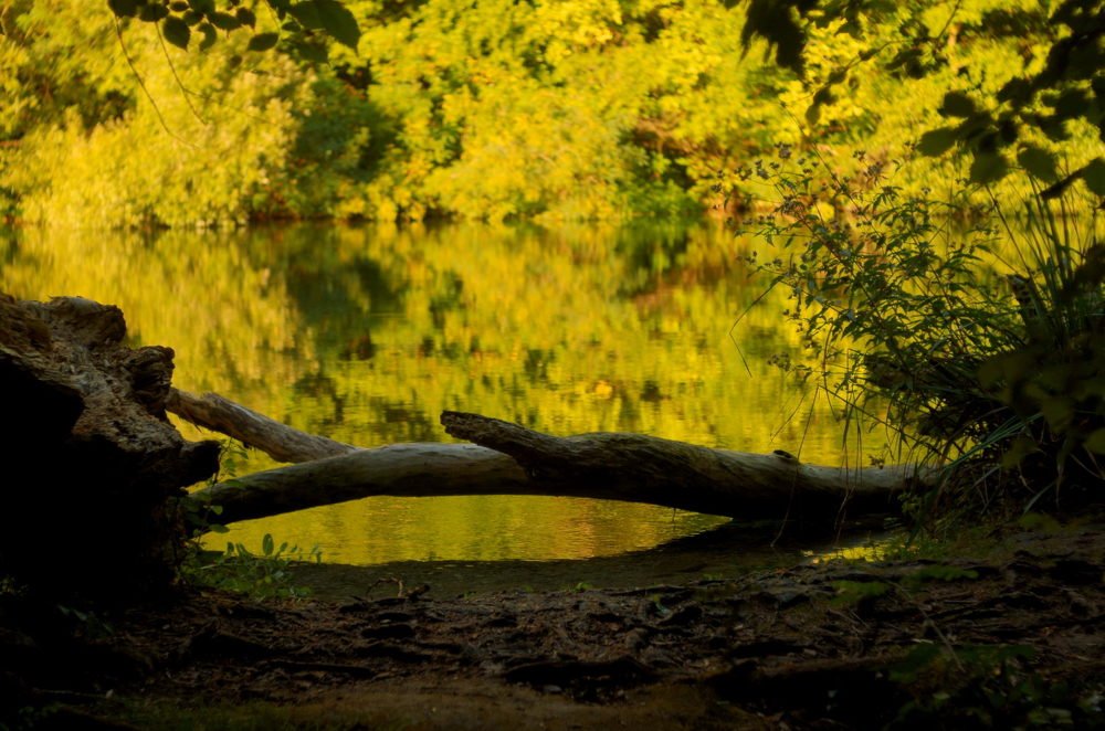 Photograph by Damir Gržin