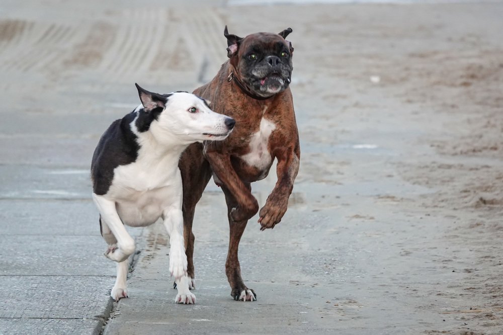 Photograph by Shirley Douwstra