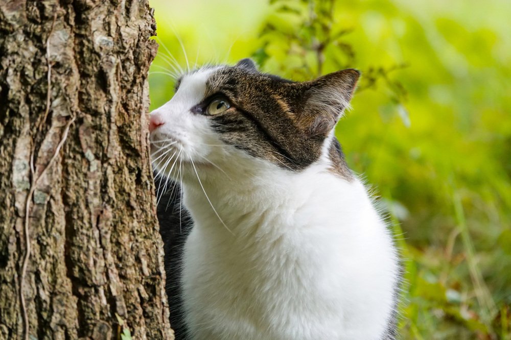 Photograph by Shirley Douwstra