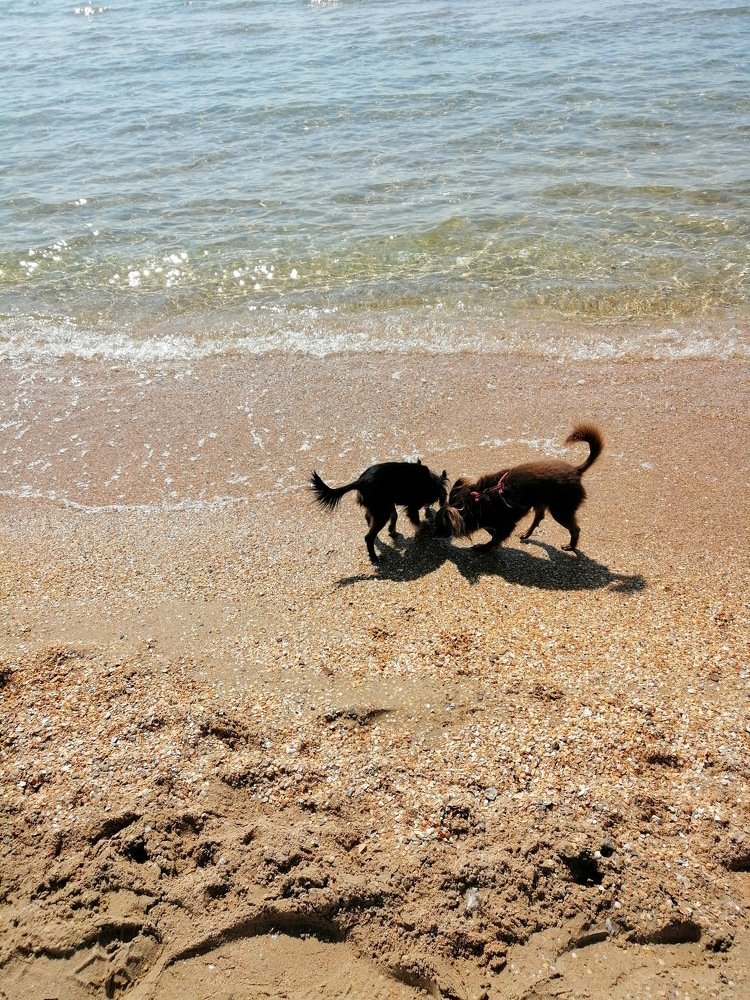 Соленый прибой.