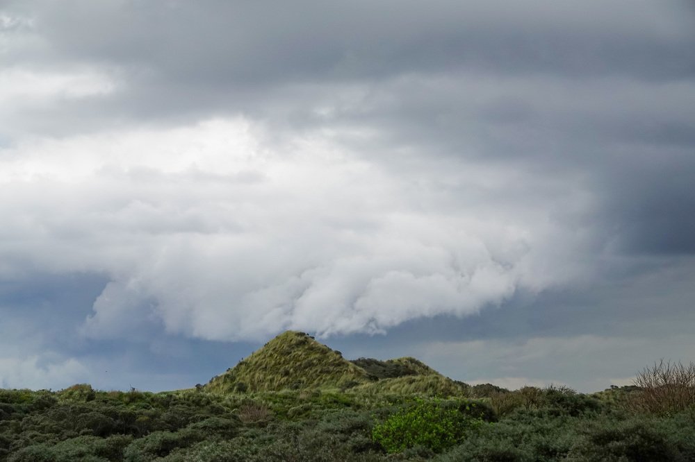 Photograph by Shirley Douwstra