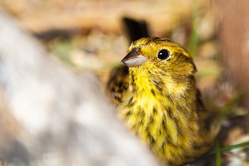 Photograph by Анастасия Ломаева