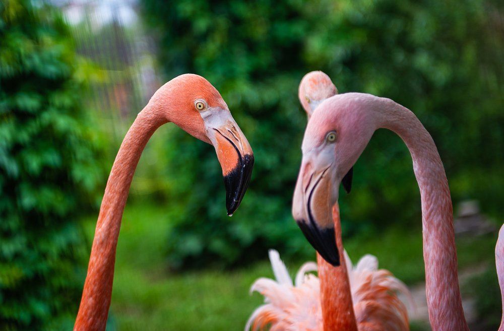 Photograph by Анастасия Ломаева