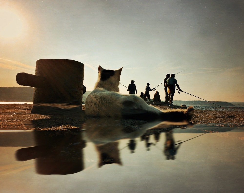 Photograph by Yalim Vural