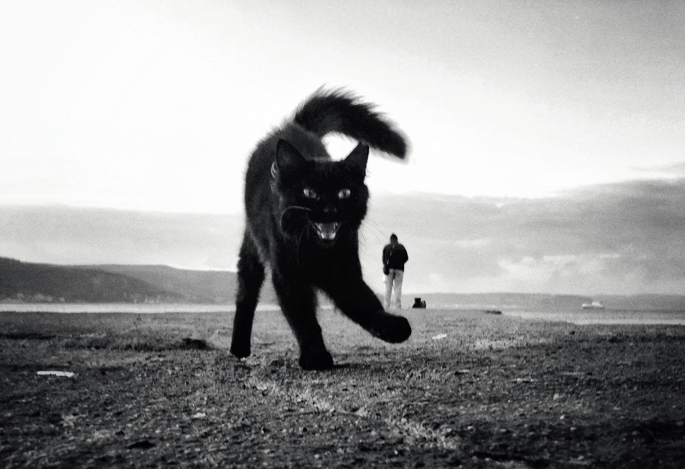 Photograph by Yalim Vural