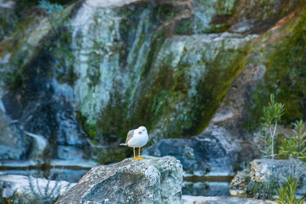 Photograph by Анастасия Ломаева