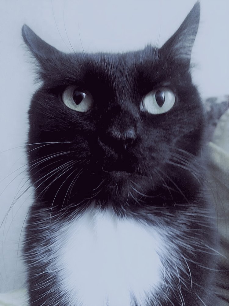 Photograph by Алия Байсыкова