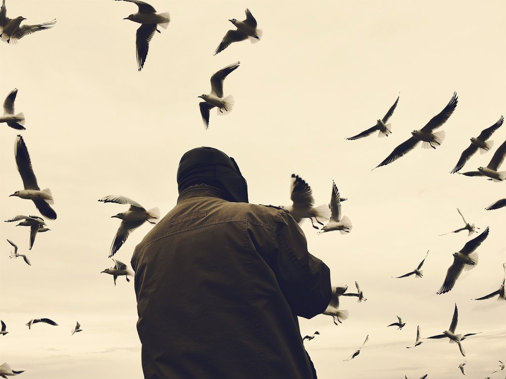 Photograph by Yalim Vural