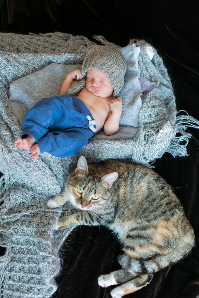 Photograph by Анастасия Ломаева