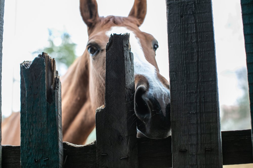 Photograph by Анастасия Ломаева