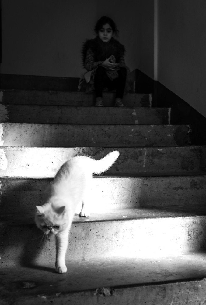 Photograph by Олеся Лихунова