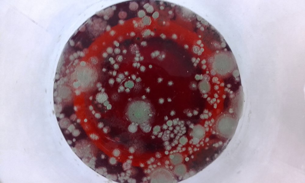 Жизнь везде