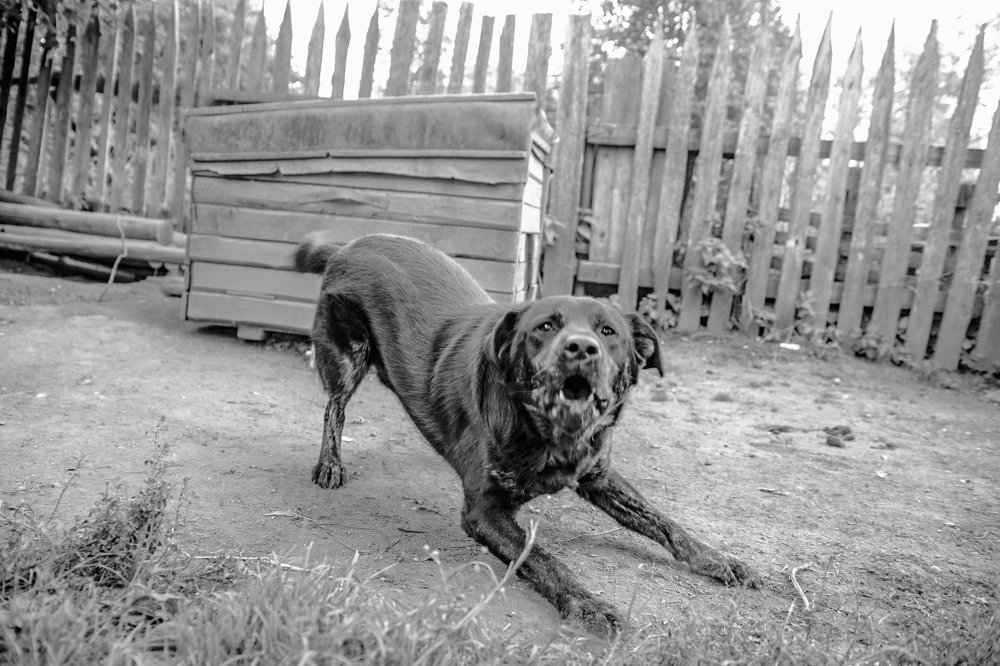 Photograph by Дмитрий Малышев