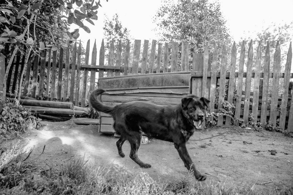 Photograph by Дмитрий Малышев