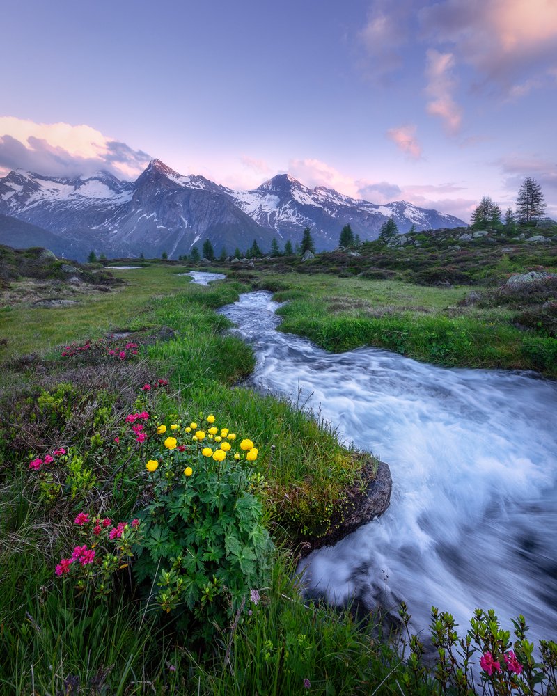 Фотография автора Oleg Rest